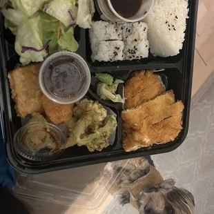 Pinto Chicken Katsu Box and Sassy