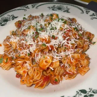 - Fresh Radiatore with Meat Sauce