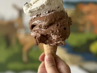 Butterfield's Ice Cream