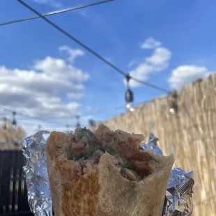 a hand holding a burrito