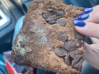 Muddy Bottoms Bar & Grill