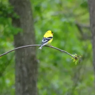 Started walking from Farrington Reserve