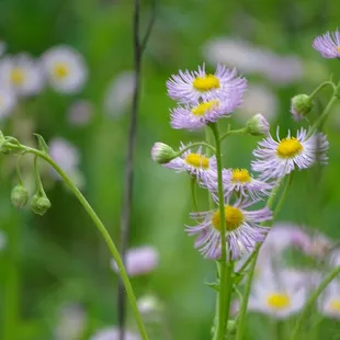 Started walking from Farrington Reserve