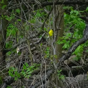 Started walking from Farrington Reserve