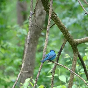 Started walking from Farrington Reserve