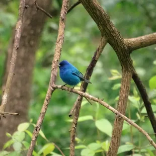 Started walking from Farrington Reserve