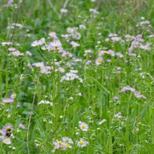 Started walking from Farrington Reserve