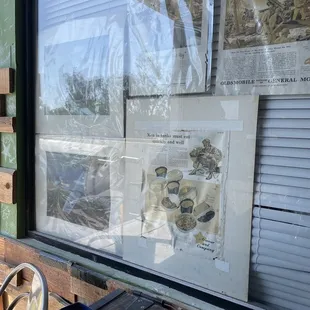 a display of beer and newspaper