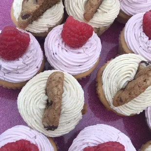 Chocolate Chip Cookie Dough and Vanilla with raspberry filling and raspberry buttercream