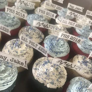 High school grad party cupcakes