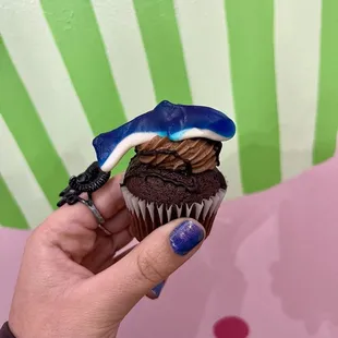 Chocolate Shark Attack