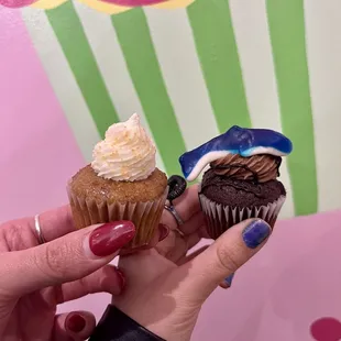 Captain Carrot Cake and Chocolate Shark Attack