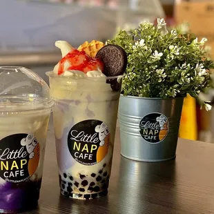 two cups of bubble tea and a plant