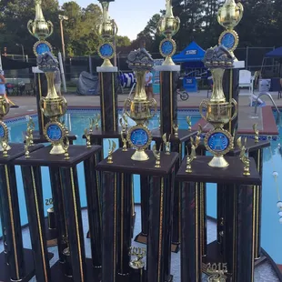 All Star Swimming trophies