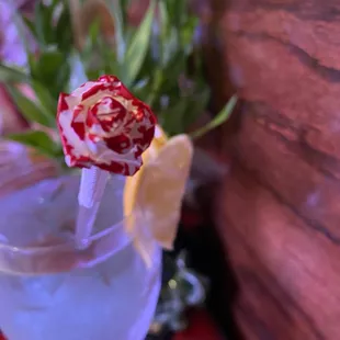 a flower in a glass