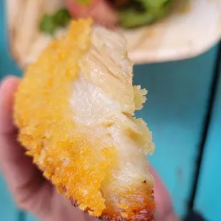 Panko Pork Belly (up close &amp; personal)