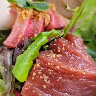 Blue fin tuna - SH