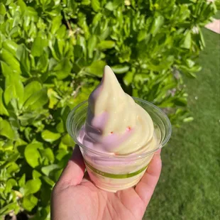 Watermelon and pineapple dole whip- yummy and refreshing
