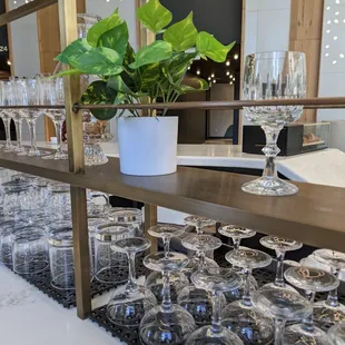 a table of wine glasses and a potted plant