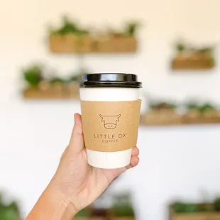 Pandan Latte