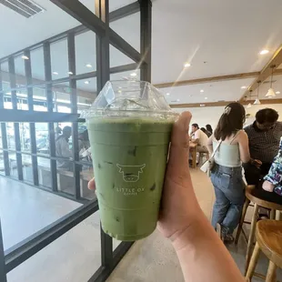 Iced Matcha Latte