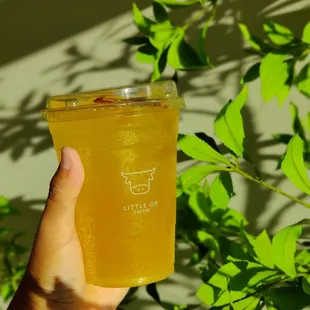 Mango Yuja Fizz