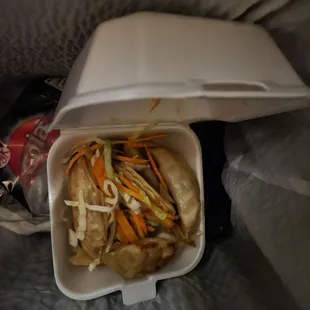 Frozen meat fried dumplings in my trash
