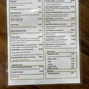 Very concise menu with the solid kebab options.