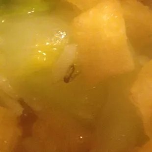 A close up of my shrimp chow mein critter. Clean ur kitchen. Wash your vegetables.