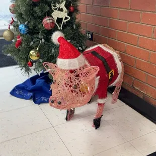 Christmas hog!