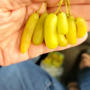 "Finger" grapes. Super sweet