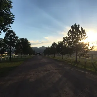 Driveway to barn