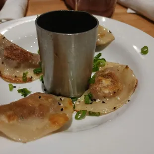Seared Brisket Pot Stickers