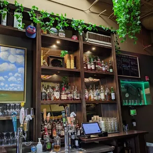 The lighting and plants are perfection!