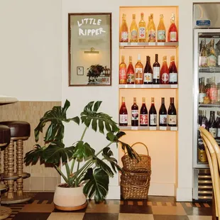 interior, ramen and noodles