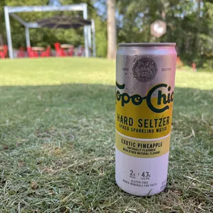 Topo Chico Hard Seltzer