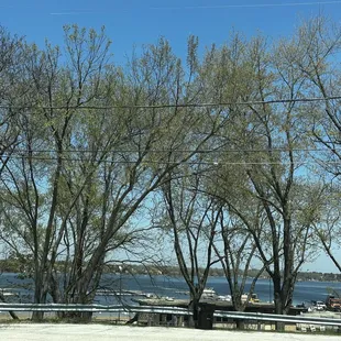 Lake Wauconda