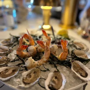 Blish Point (?) Oysters from Massachusetts &amp; Wild Gulf Shrimp with Pomegranate Cocktail Sauce