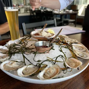 East coast oysters