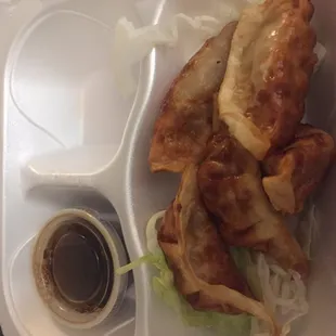 Fried Dumplings