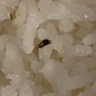 White rice with extra protein.