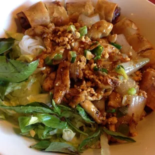 Rice vermicelli with sautéed chicken and spring roll