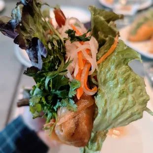 Spring Rolls
