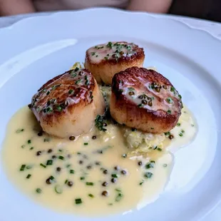 Maine Sea Scallops