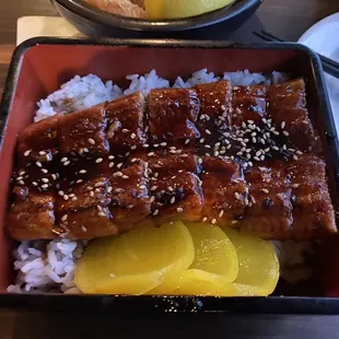 Unagi Don