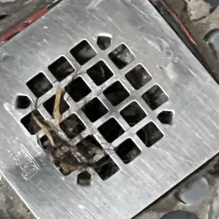 dirty drain