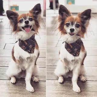 Kit K.