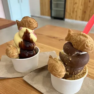 Example of the Fish on the Reef