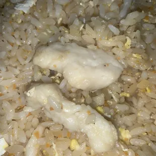 Uncooked, slimey chicken fried rice.