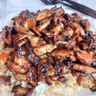 Chicken Teriyaki (Well Done)